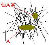仙人掌吸收辐射示意图