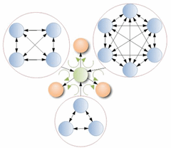link_network.gif